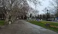 Спортно семейно приключение очаква малките русенчета в Парк на младежта