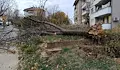 Вятър със скорост 90 км/ч връхлита Русе в сряда