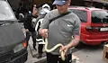Змия паникьоса посетителите на зеленчуковия пазар в Хасково