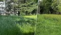 Змии плъзнаха по детските площадки в Русе