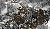 Бедствието в Родопите