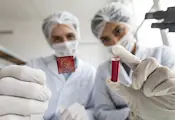 Учени създадоха клетки за мигновено спиране на кървене