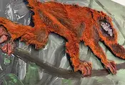 Горан Памуков изложи платна с животински кожи в Русе