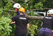 Пожарникари премахнаха опасен клон от централно кръстовище в Русе