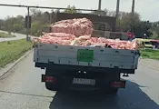 Заснеха открит камион да превозва животински отпадъци в Русе