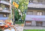 Отрязаха здрава бреза до ученическото общежитие в Русе