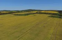 Конкурент съсипа с хербициди реколтата на земеделец в Ямболско