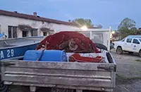 Хванаха шестима бракониери с 650-метрова мрежа край Сунгурларе