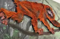 Горан Памуков изложи платна с животински кожи в Русе