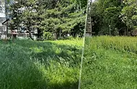 Змии плъзнаха по детските площадки в Русе