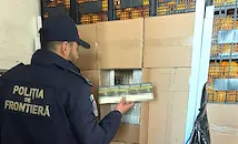 Откриха 7 милиона контрабандни цигари в ТИР с цитруси