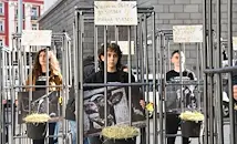Младежи в клетки протестират пред парламента