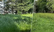 Змии плъзнаха по детските площадки в Русе