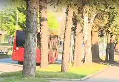 Разследващите проверяват уличните камери в квартал Изток Непълнолетни лица са основните