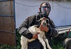 Местна земеделска кооперация се включи в гасенето с водоноскаНад 20