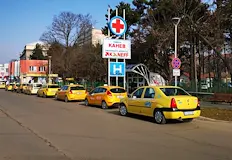 Община Русе вдига и квотата за жълтите колиОт Община Русе