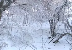Температурите паднаха под нулатаЗимна обстановка скова прохода Шипка в началото