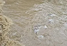 Отпадни води се изливат директно във водоемаОтпадни води се изливат