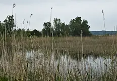 Институцията предаде на прокурор нарушители в Калимок Бръшлен Специализирано звено