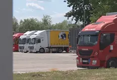 Риск от внос на опасни плодове и зеленчуци в ЕвропаКритични