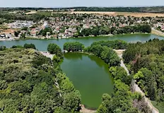 Мярката цели спасяването на защитените водни лилииОт Регионалната инспекция по