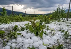 Пробит покрив затвори наводнено училище в ТрявнаДнешният 13 май е