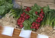 Търговци и купувачи отчитат сезонен спад но цифрите са двойниЦените