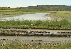 Земеделци отчитат щети за милион евроНад 6 хиляди декара селскостопански