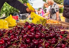 Българската продукция се очаква на пазара след 15 майВносни череши