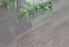 Инцидентът парализира движението в районаИнтензивен валеж с гръмотевици повали масивно
