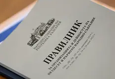 Народните представители забравиха да спрат тримесечното си увеличениеДнес 29 май