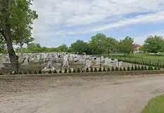 Превръщат общинско пасище в паркинг за гробищния паркСъветниците в Общински