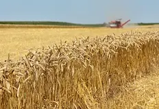 Цените на хранителните стоки ще скочат драстичноЗатварянето на стратегическия Ормузки