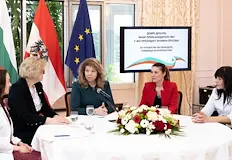 Чужди дипломати обсъждат властта у нас с президентаПолитическата криза у