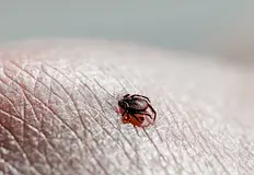 Бум на ухапванията у насСъс затоплянето на времето през май