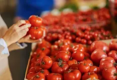 Родната продукция е ударена от майски студ и липса на