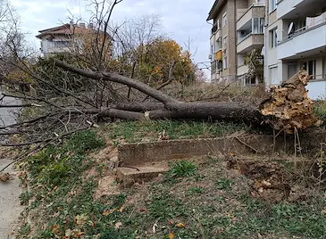Вятър със скорост 90 км/ч връхлита Русе в сряда