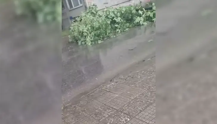Инцидентът парализира движението в района Инцидентът парализира движението в района