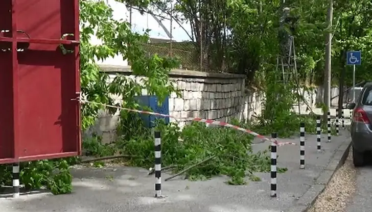 Метеоролозите отчетоха пориви от над 86 километра в час