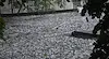 Жълт код за гръмотевични бури в 22 области на страната