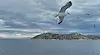 Учени: Морският бриз закъснява и носи опасен озон