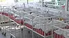 ВКС: Майката носи вина за разменените бебета в "Шейново"