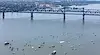 Трансграничен парад затваря Дунав мост