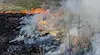 Пожарникари спасиха 250 декара пшеница край град Ветово