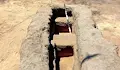 Откриха редки погребения на глигани в делтата на Нил