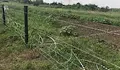 Оградата срещу чума по свинете се разпадна