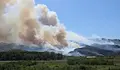 Сметната палата проверява похарчването на над милиард лева за борба с пожарите