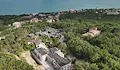 Дора Марчева: Изсякоха гората, това е тотална мафия