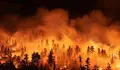 Горски пожари изпепелиха стотици хектари в Хърватия