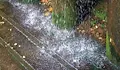 НИМХ предупреди за интензивни валежи в половин България